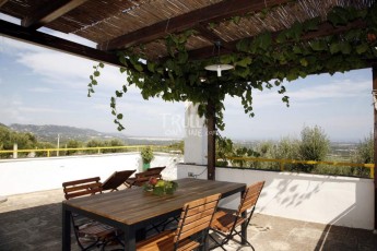 Vigne di Salamina - Trullo Monte Zuzzu - Terrasse